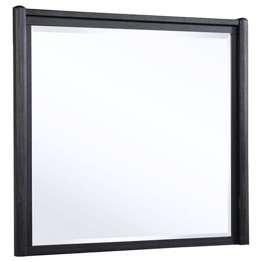 Leandro Dresser Mirror in Burnished Black - Coaster Furniture