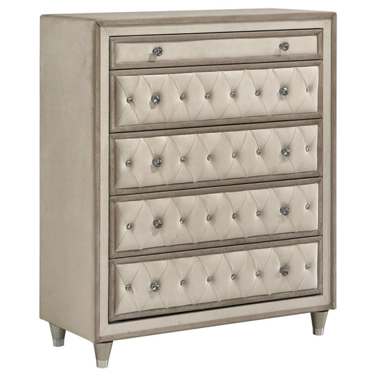 Antonella Chest in Ivory / Camel - Coaster Furniture