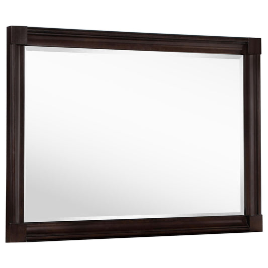Andover Dresser Mirror in Dark Oak - Coaster Furniture