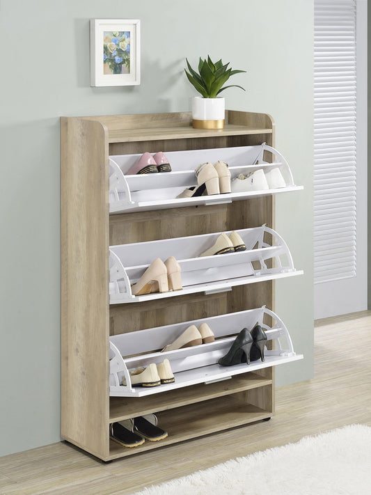 Aero Shoe Cabinet in Black - Coaster Furniture