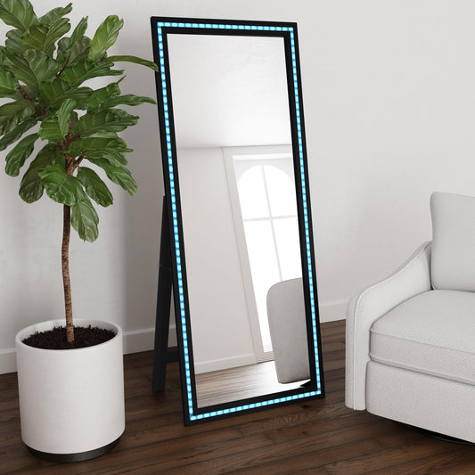 Windrose Standing Mirror in Black - Coaster Furniture