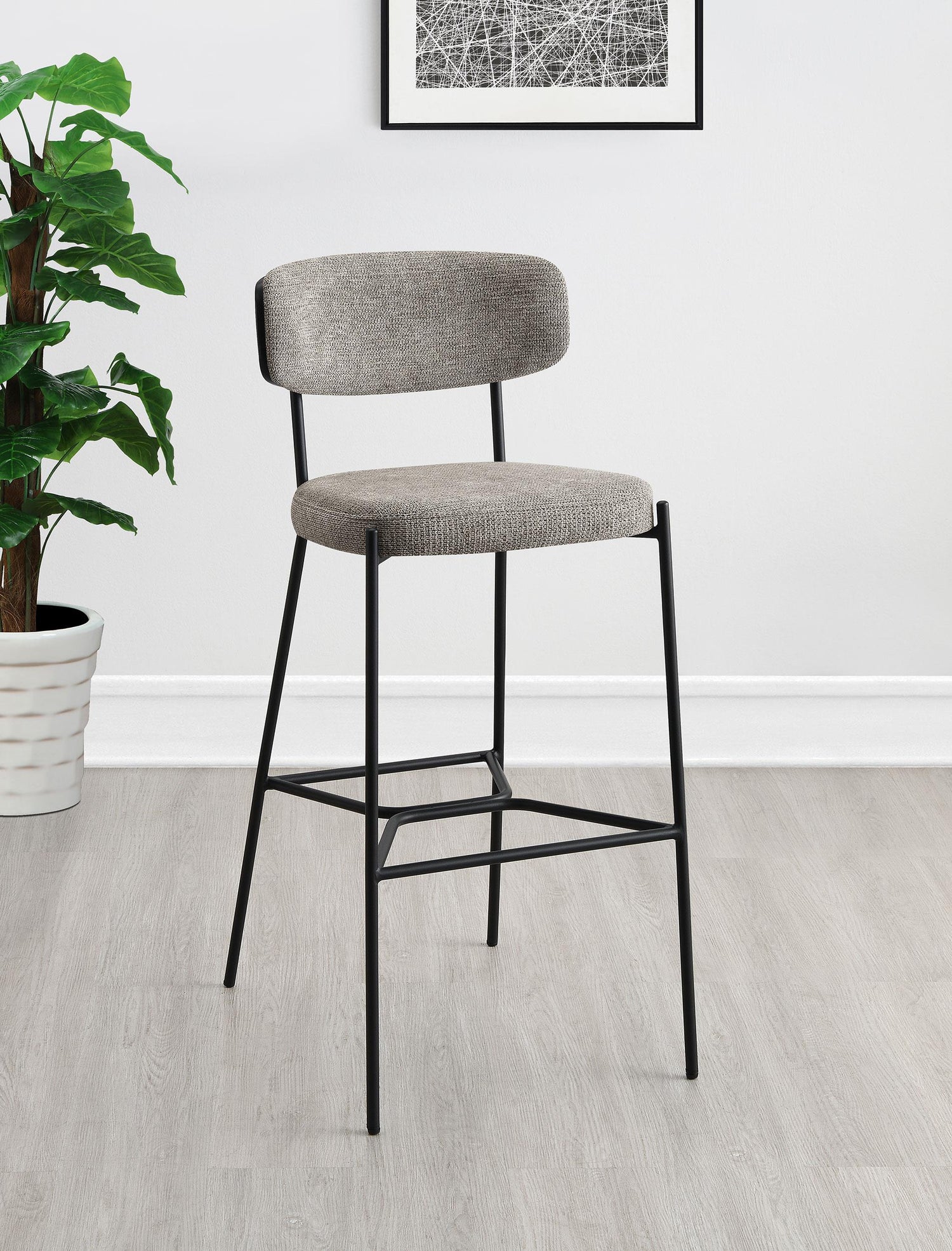 Elison Collection
