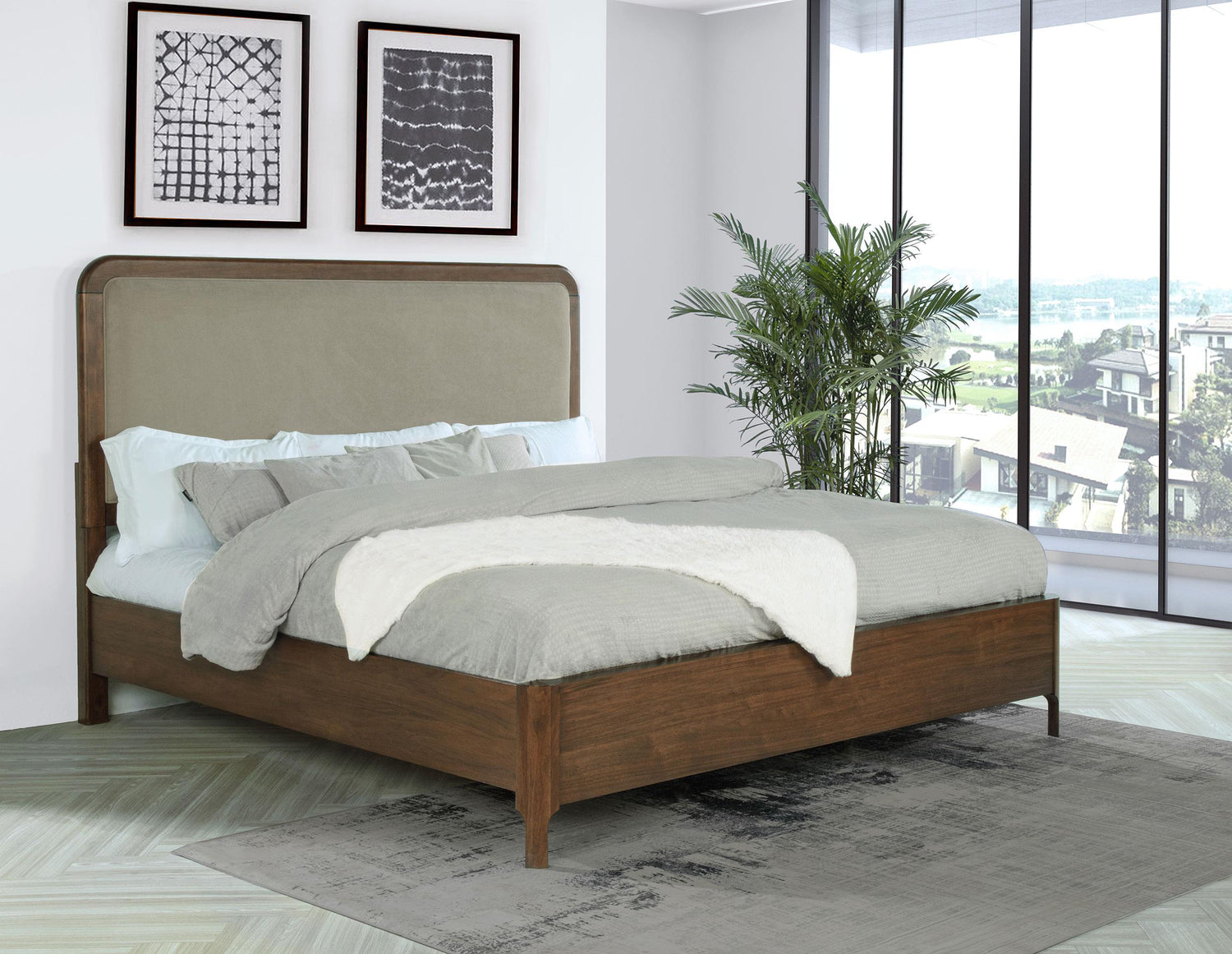 Maderia Collection