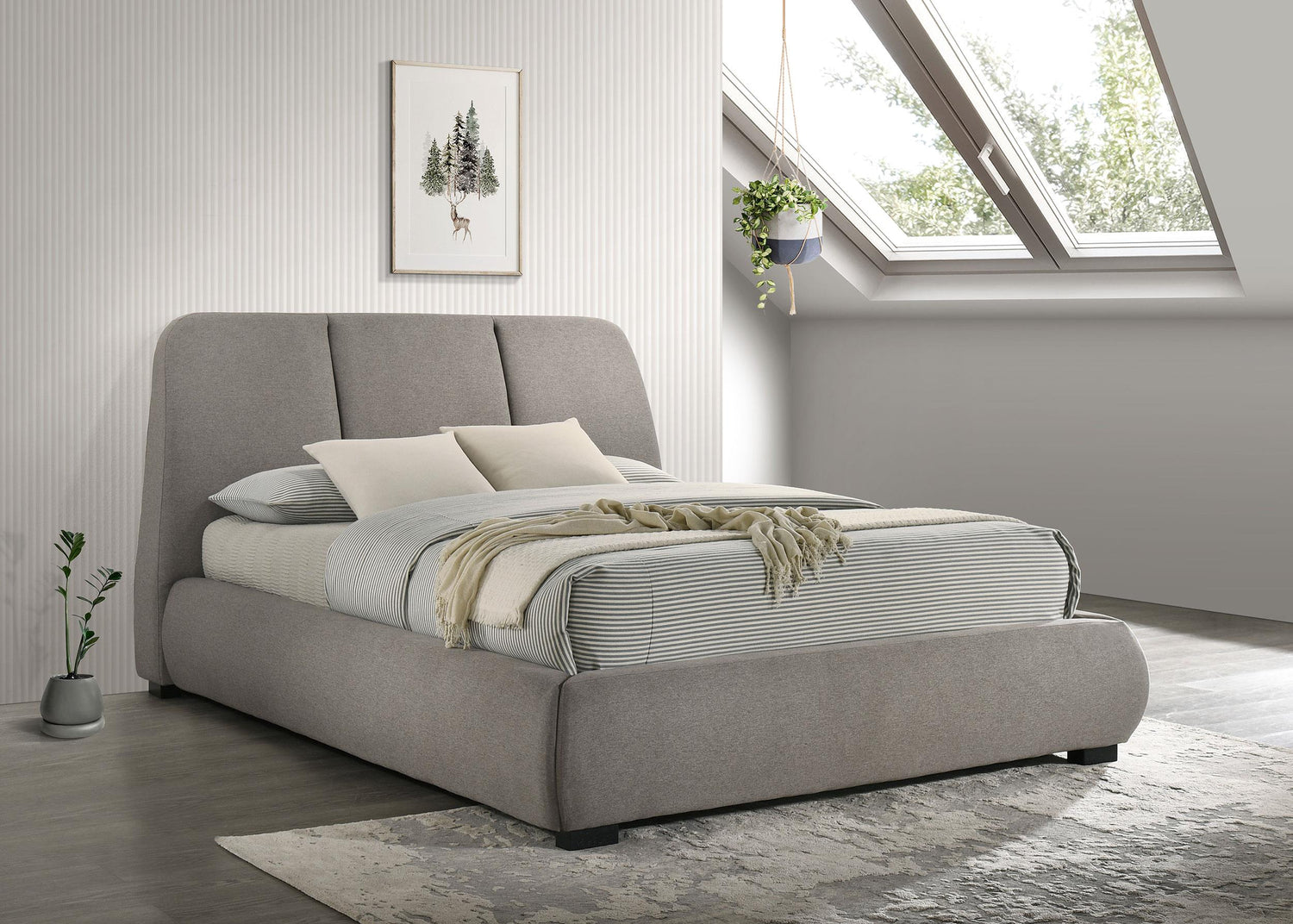 Mokena Collection