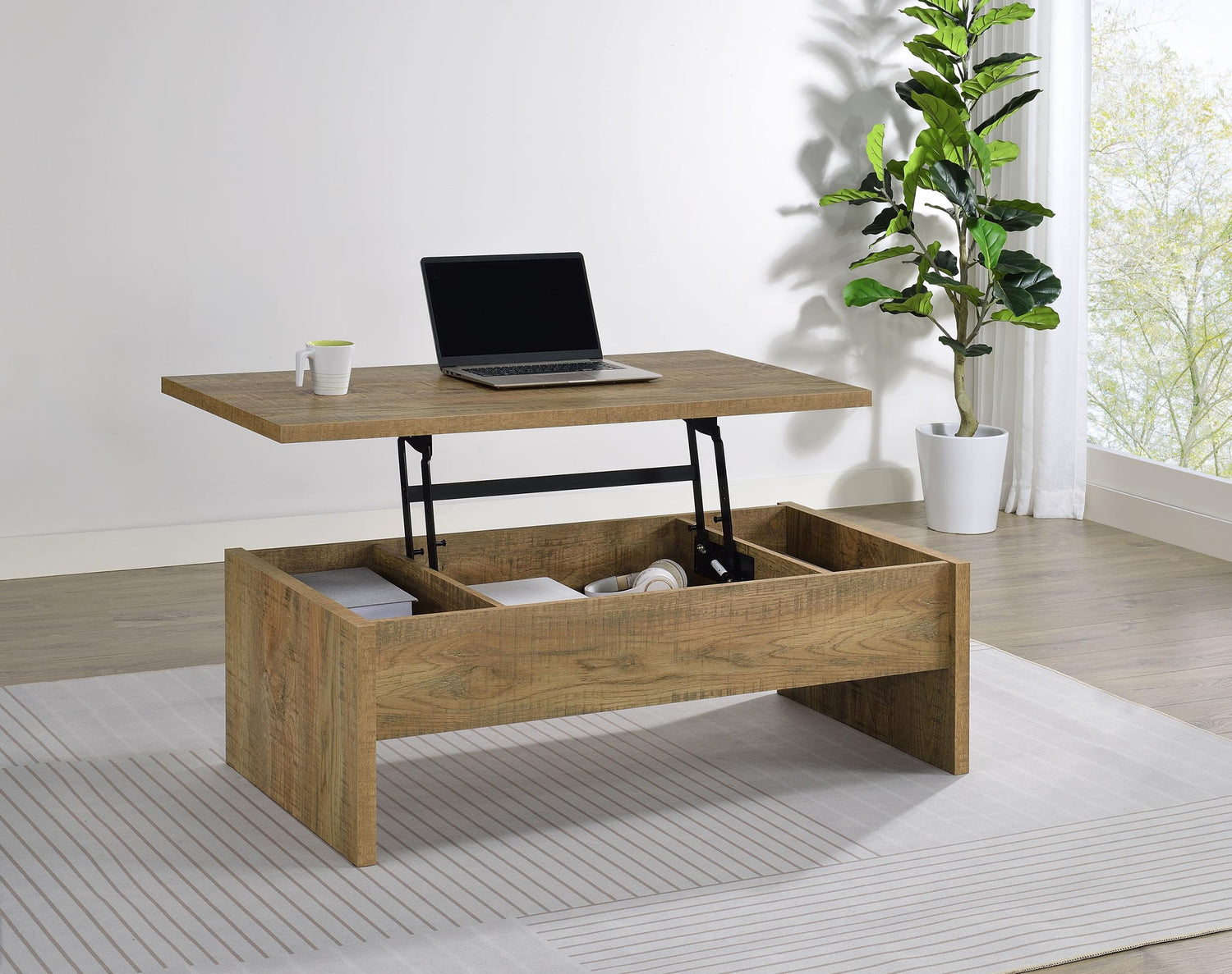 Canoga Collection