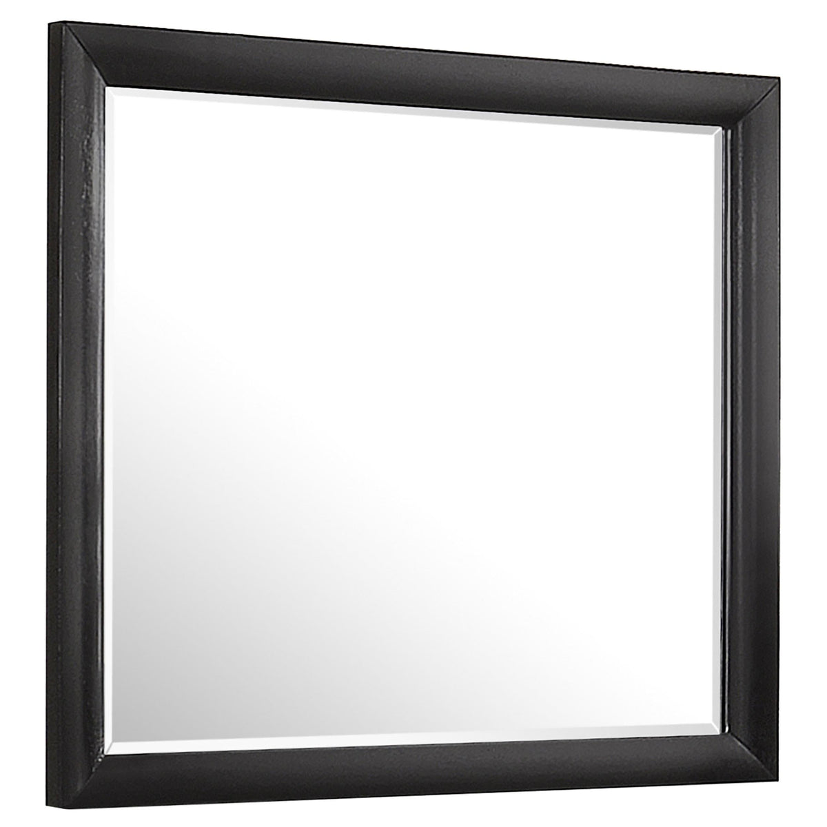 Briana Dresser Mirror in Black - Coaster Furniture