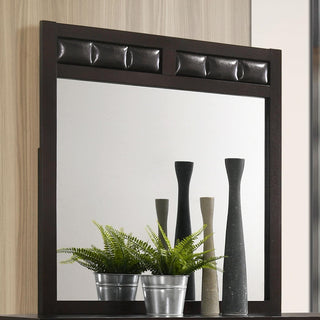 Carlton Dresser Mirror in Cappuccino - Coaster Furniture