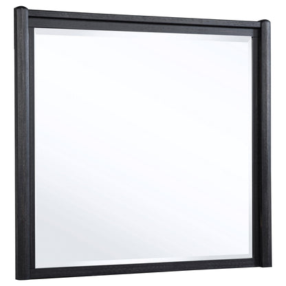 Leandro Dresser Mirror in Burnished Black - Coaster Furniture