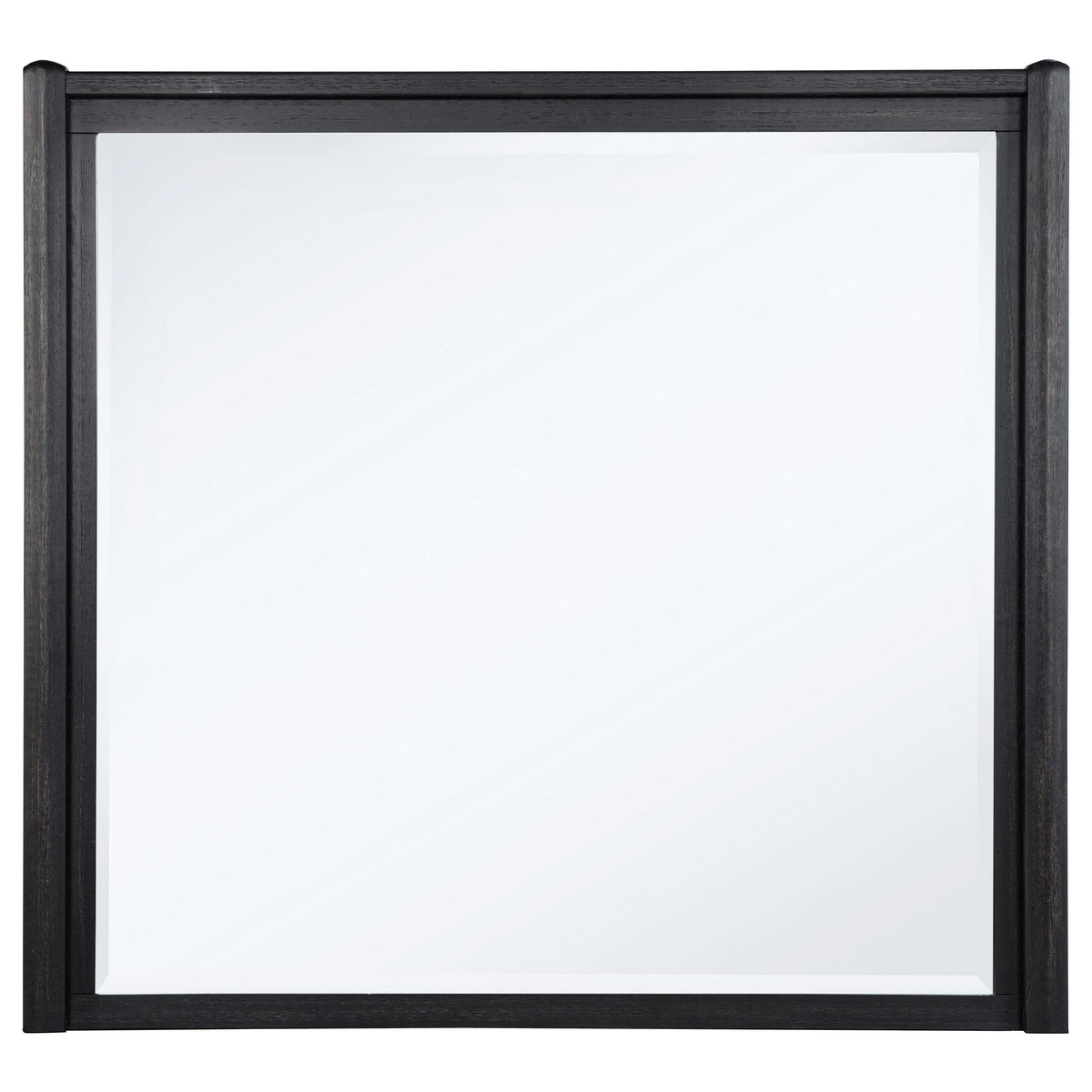 Leandro Dresser Mirror in Burnished Black - Coaster Furniture