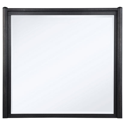Leandro Dresser Mirror in Burnished Black - Coaster Furniture