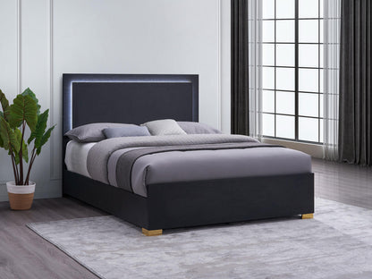 Marceline Queen Bed - Black