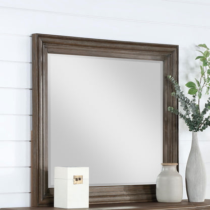 Emmett Dresser Mirror in Walnut - Coaster Furniture