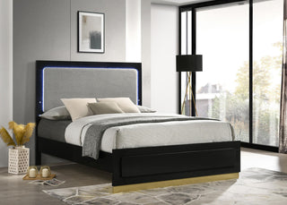 Caraway Queen Bed - Black