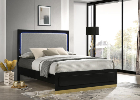 Caraway Queen Bed - Black