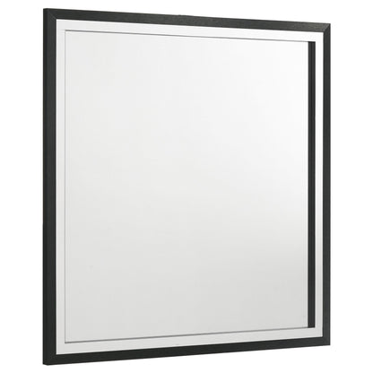 Lucia Dresser Mirror - Black