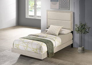 Trenton Bed in Rustic Cream