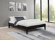 Trinity Full Bed Frame in Green - Coaster Furniture
