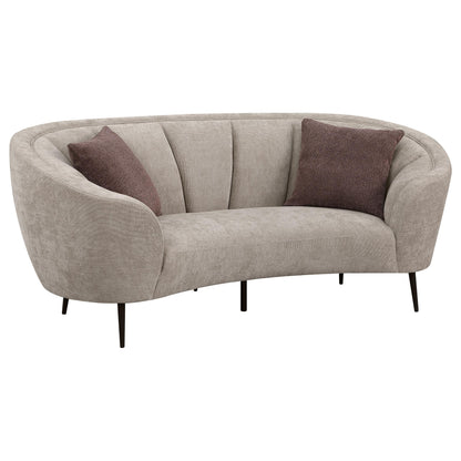 Ellorie Stationary 2-Piece Set in Beige - Coaster Furniture