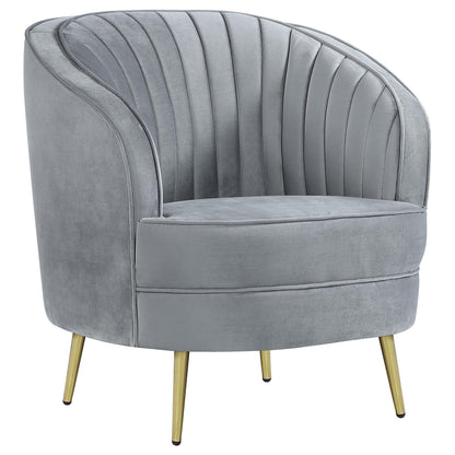 Sophia Chair in Grey - Coaster Furniture