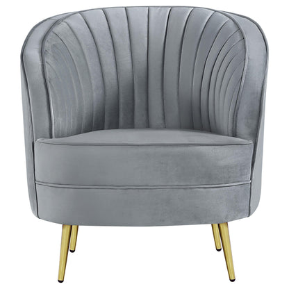 Sophia Chair in Grey - Coaster Furniture