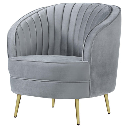 Sophia Chair in Grey - Coaster Furniture