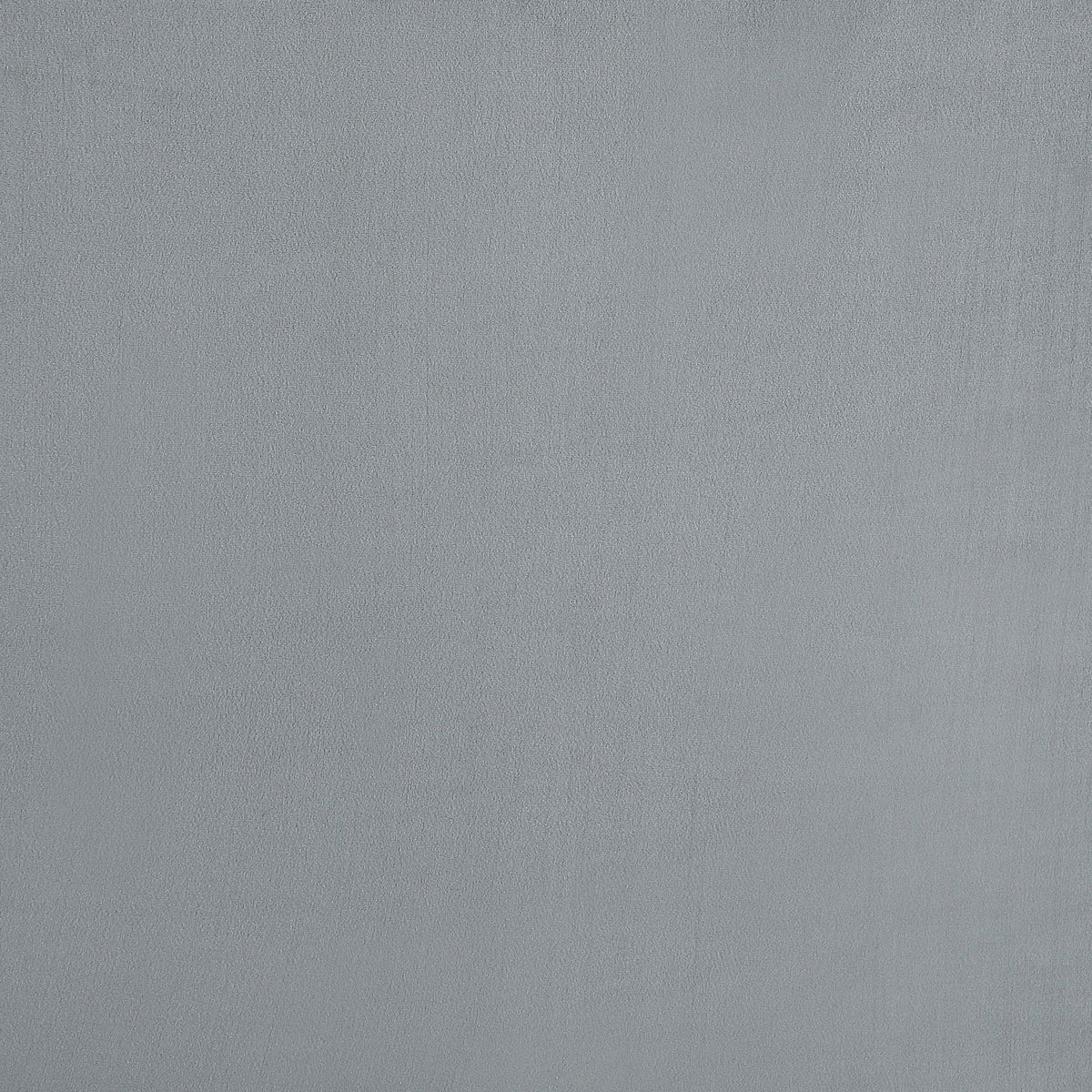 Sophia Chair in Grey - Coaster Furniture