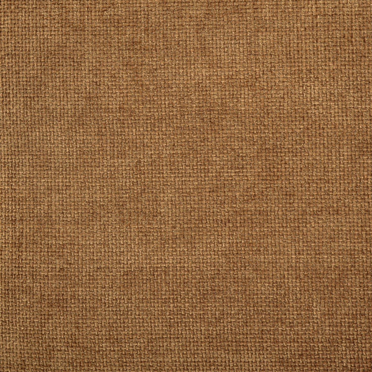 Octavia Accent Chair in Amber - Coaster Furniture