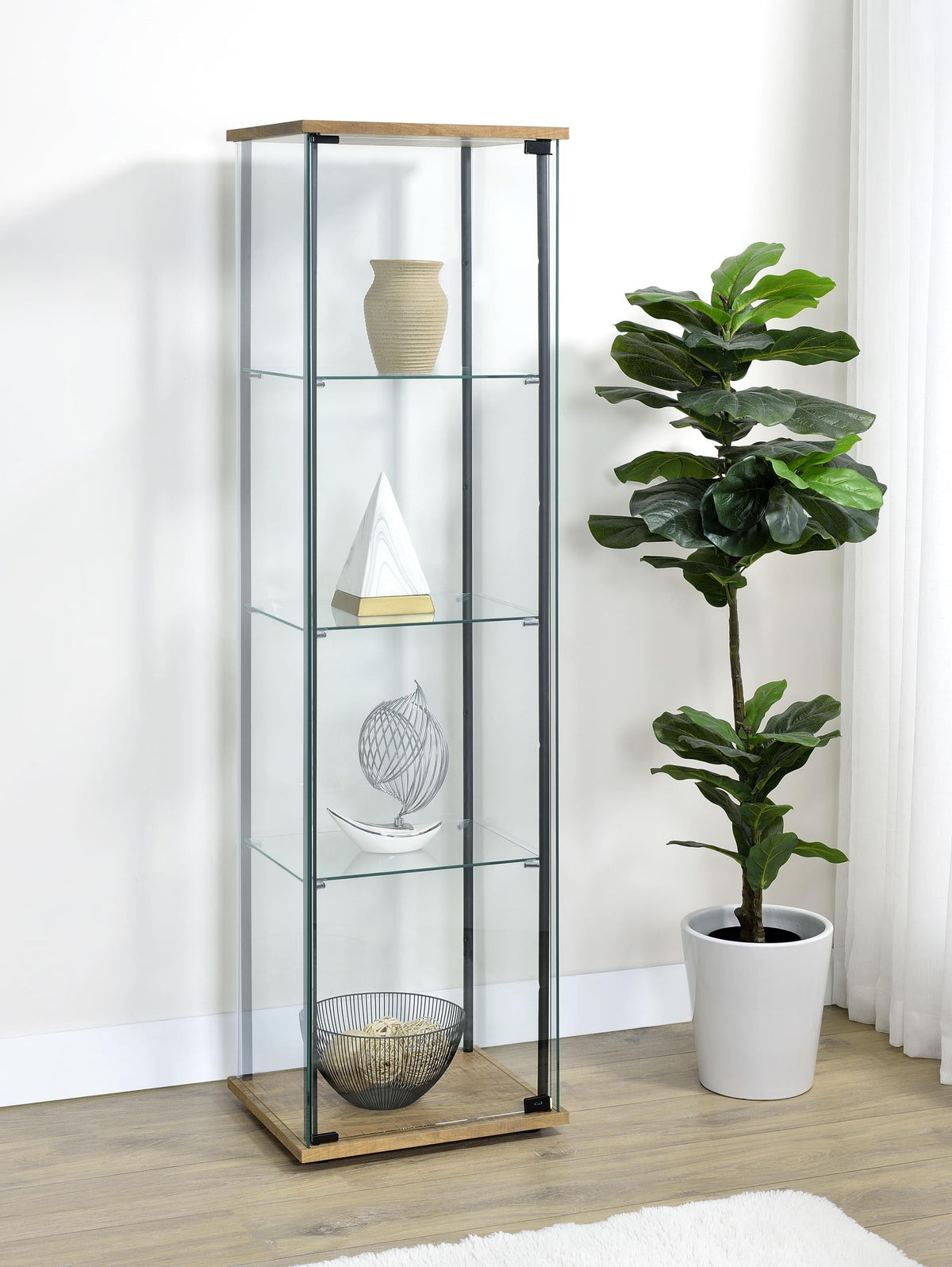 Delphinium Curio Cabinet in Black - Coaster Furniture