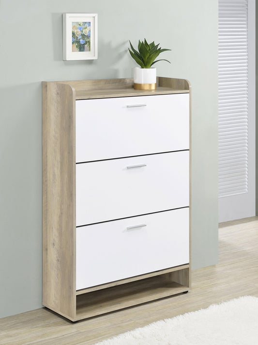 Aero Shoe Cabinet in Black - Coaster Furniture