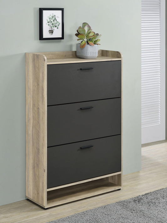 Aero Shoe Cabinet in Black - Coaster Furniture