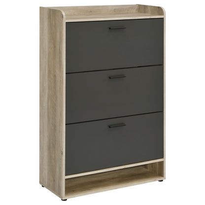 Aero Shoe Cabinet in Black - Coaster Furniture
