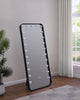 Canton Standing Mirror in Black - Coaster Furniture