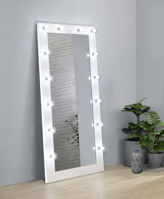 Zayan Floor Mirror in Black - Coaster Furniture