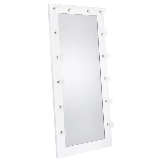 Zayan Floor Mirror in Black - Coaster Furniture